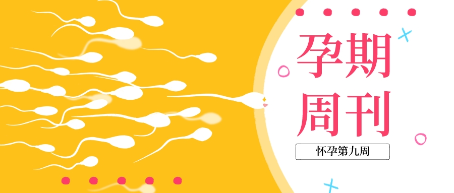 孕期周刊 | 懷孕“第九周”注意事項(xiàng)